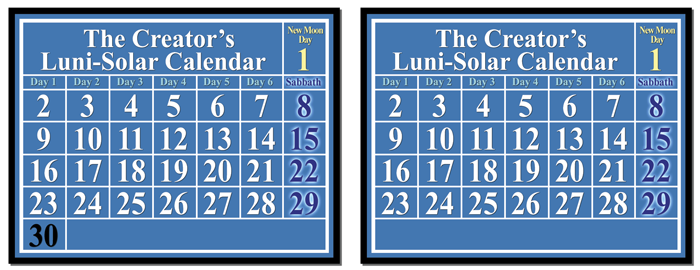 The Creator's Luni-Solar Calendar